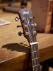 Cort Core-OC Spruce (Open Pore Trans Black)
