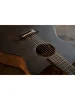 Cort Core-OC Spruce (Open Pore Trans Black)