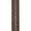 Ремінь для гітари D'Addario 50G01 Nylon Woven Guitar Strap (Hootenanny 2)