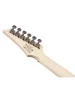Електрогітара Ibanez RG421AHM-BMT