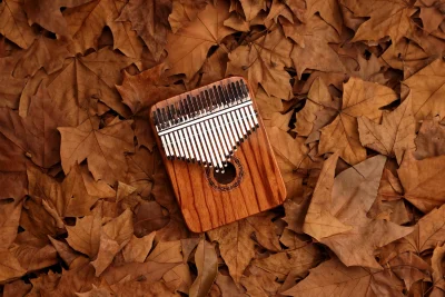Калімба Hluru KYG21 Red Rosewood