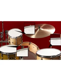 Vater Buzzkill Extra Dry