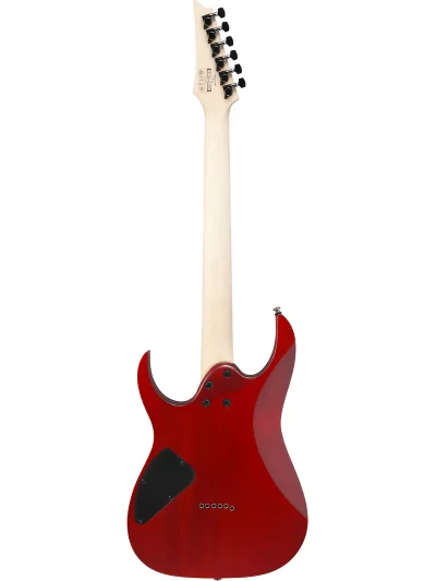 Електрогітара Ibanez RG421PB-CHF