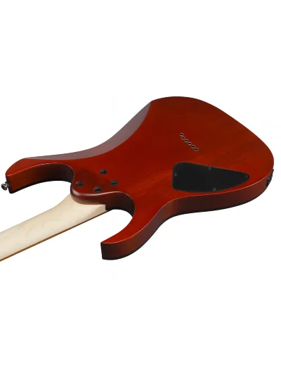 Електрогітара Ibanez RG421PB-CHF