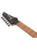 Електрогітара Ibanez RG421PB-CHF