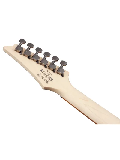 Електрогітара Ibanez RG421PB-CHF
