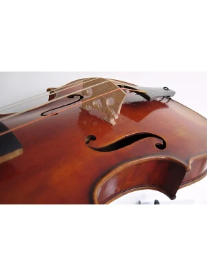 Підструнник Maxtone VN BG3/4