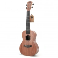 Overtone Music UK-21 Overtone Music UK-21