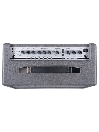 Комбопідсилювач Blackstar Silverline Standard 20