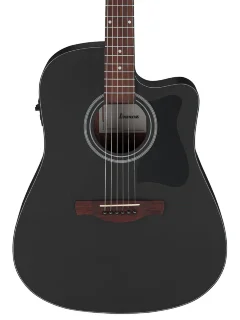Ibanez V44CE WK