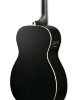 Акустична бас-гітара Ibanez PCBE14MH WK