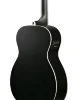 Акустична бас-гітара Ibanez PCBE14MH WK