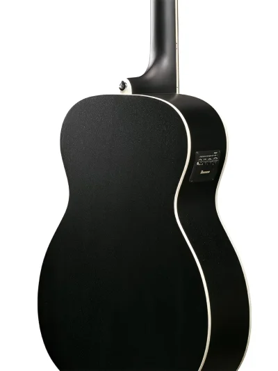 Акустична бас-гітара Ibanez PCBE14MH WK