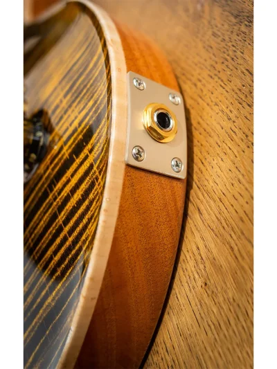 Електрогітара PRS Paul's Guitar 10-Top (Yellow Tiger) #0369896