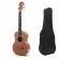 Укулеле Overtone Music UK-26 (+чохол) Укулеле Overtone Music UK-26 (+чохол)