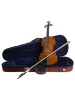 Скрипка Stentor 1500/E Student II Violin Outfit 1/2