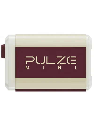 Комбопідсилювач Hotone Audio Pulze Mini