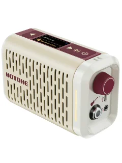 Hotone Audio Pulze Mini