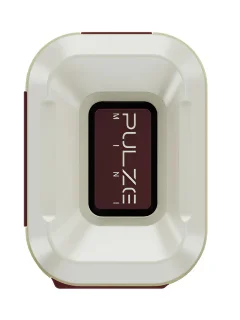 Hotone Audio Pulze Mini