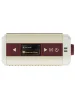 Комбопідсилювач Hotone Audio Pulze Mini