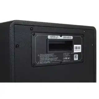 Mooer Hornet 15i Black