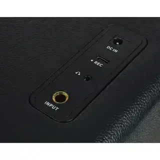 Mooer Hornet 15i Black