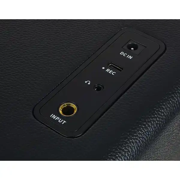 Комбопідсилювач Комбопідсилювач Mooer Hornet 15i Black