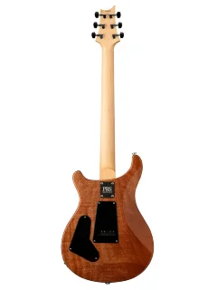 PRS CE 24 Semi-Hollow (Eriza Verde) #0371477