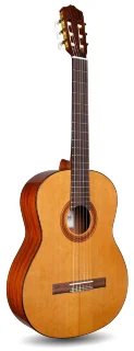Cordoba C5