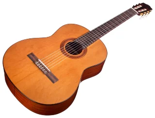 Cordoba C5