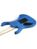 Електрогітара Ibanez GRG120QASP-BGD
