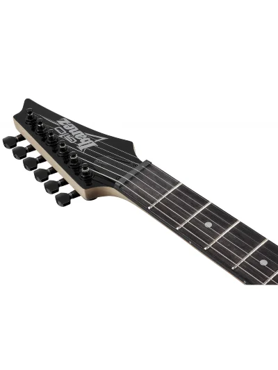 Електрогітара Ibanez GRG120QASP-BGD