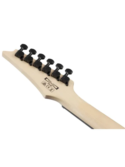 Електрогітара Ibanez GRG120QASP-BGD