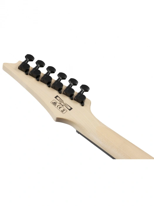 Електрогітара Електрогітара Ibanez GRG120QASP-BGD