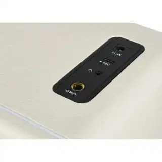 Mooer Hornet 15i White