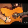 Класична гітара зі звукознімачем Класична гітара зі звукознімачем Cordoba C5-CE CD