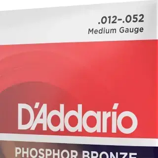 D'Addario EJ39 Phosphor Bronze Medium 12-String 12-52