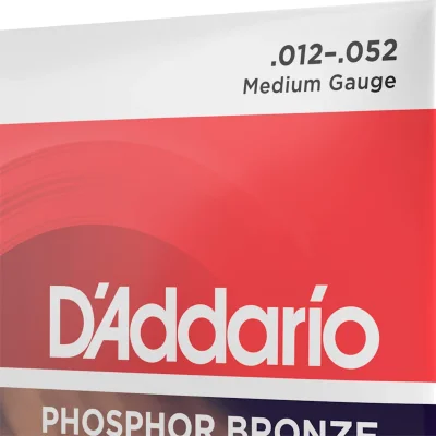 Струни D'Addario EJ39 Phosphor Bronze Medium 12-String 12-52