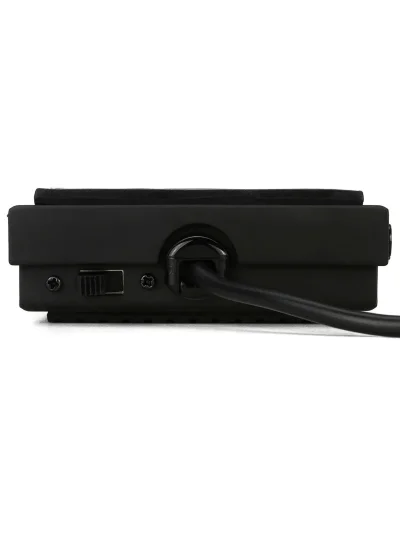 Педаль сустейн M-Audio SP-1