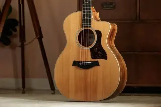 Taylor Guitars 214ce-K DLX