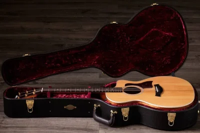 Електро-акустична гітара Taylor Guitars 214ce-K DLX