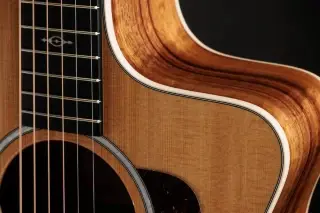 Taylor Guitars 214ce-K DLX