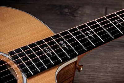 Електро-акустична гітара Taylor Guitars 214ce-K DLX