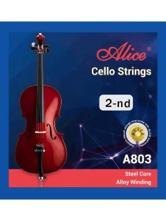 Alice A803-2 (D)