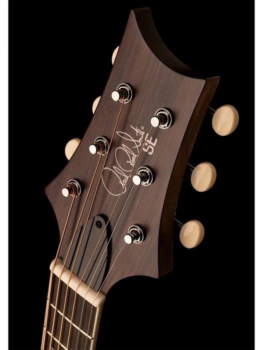 PRS SE T40E (Natural)