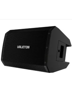 Valeton VFR-110
