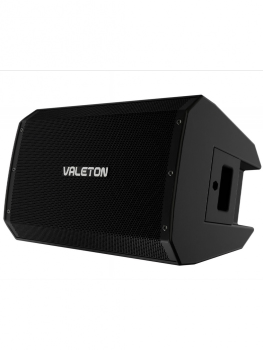 Гітарний кабінет Гітарний кабінет Valeton VFR-110