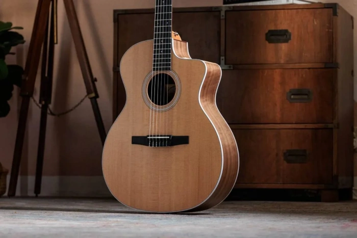 Taylor Guitars 214CE-N Rosewood