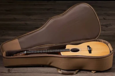 Електро-акустична гітара Taylor Guitars 214CE-N Rosewood