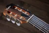 Електро-акустична гітара Taylor Guitars 214CE-N Rosewood